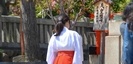 蛭子神社の狛犬