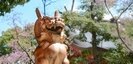 蛭子神社の狛犬