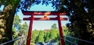 鳥居/箱根神社