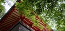 箱根神社の新緑