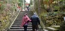 箱根神社初詣 平成26年