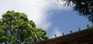報徳二宮神社の鰹木と空