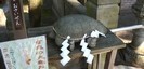 松原神社の亀