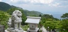 大山阿夫利神社の狛犬
