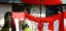 六所神社の狛犬と紅白の幕