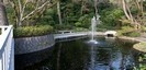 寒川神社の池