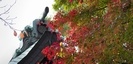 曽屋神社の紅葉