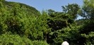 神前神社　山への入口