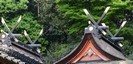枚岡神社の千木