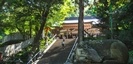 枚岡神社の鹿と階段と女性
