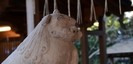久伊豆神社の狛犬