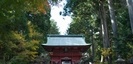 東口本宮冨士浅間神社の門と紅葉