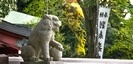来宮神社の狛犬