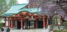 山王日枝神社の藤棚