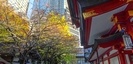 山王日枝神社の門と紅葉