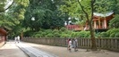 根津神社の参道