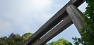 東京大神宮の鳥居