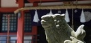 山中浅間神社の狛犬